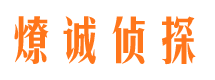 七台河职业捉奸人